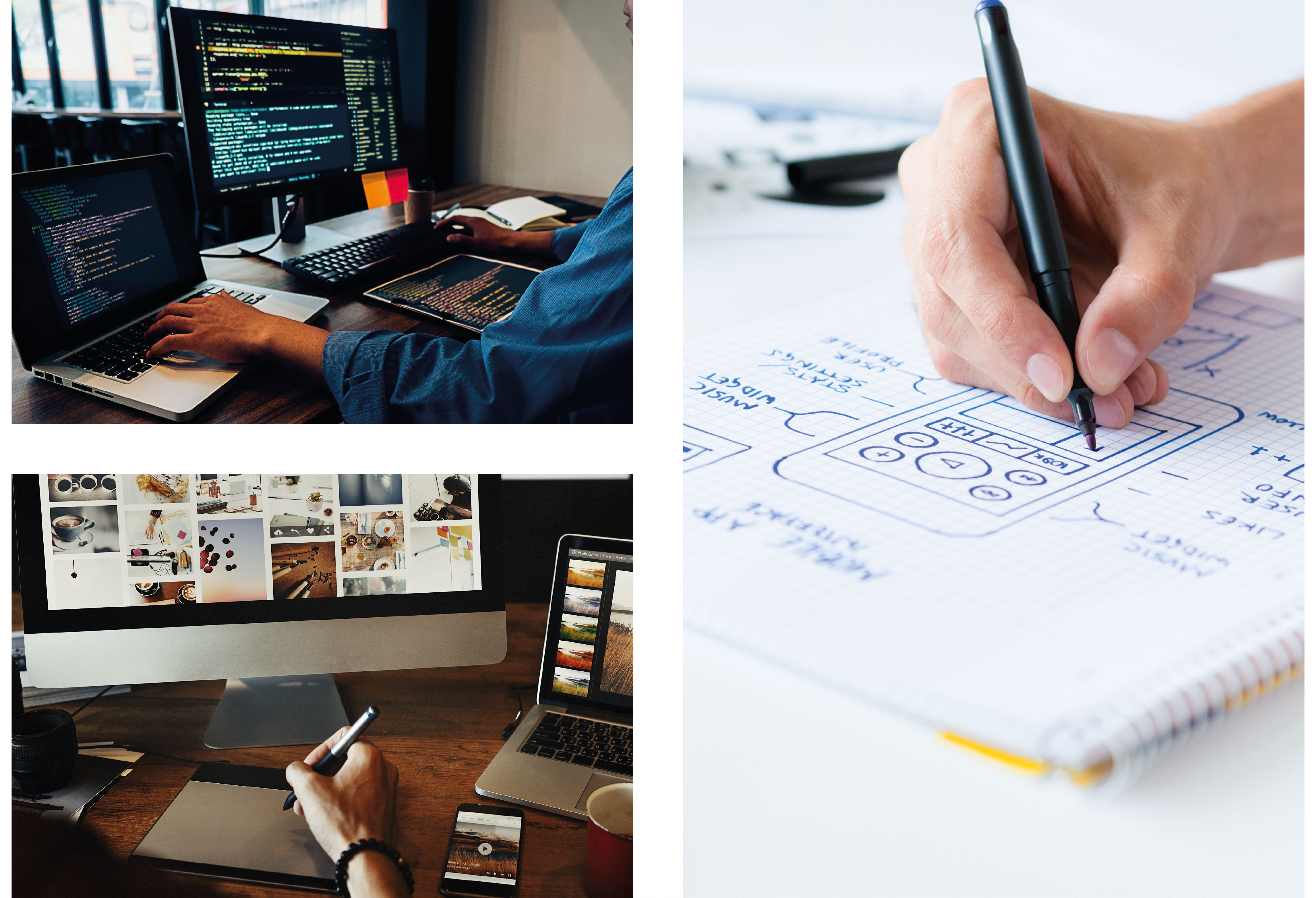 The Anatomy of a graphic designer image