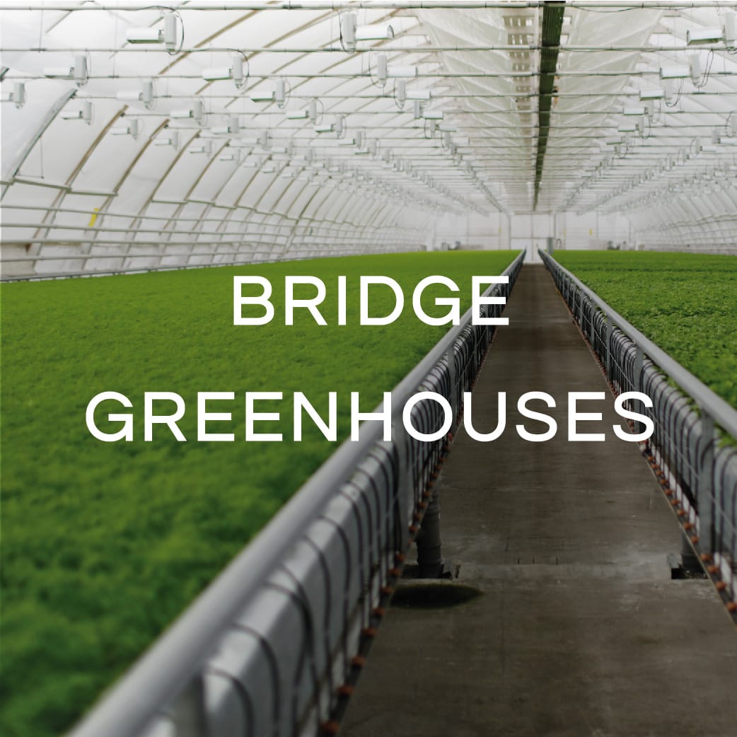 BRIDGE GREENHOUSES