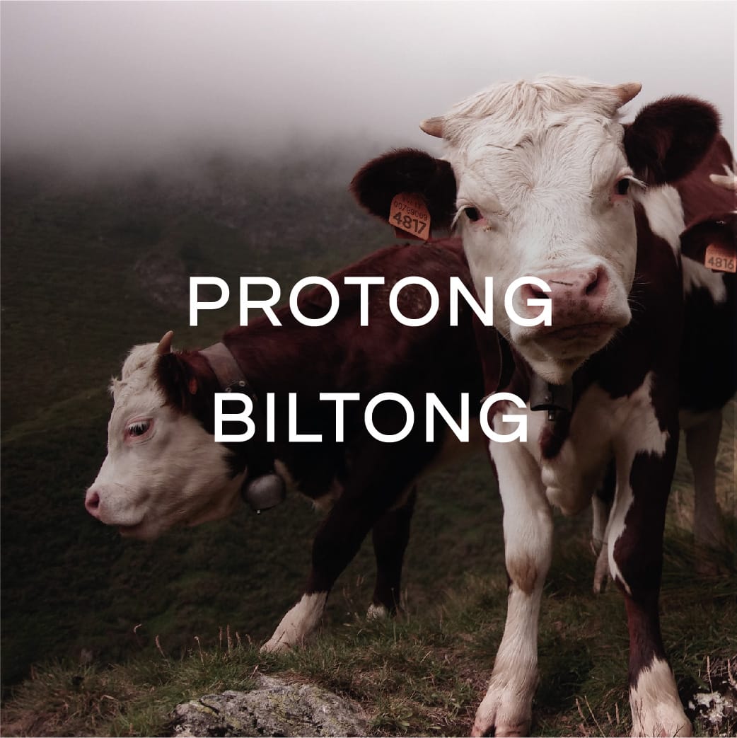 PROTONG BILTONG